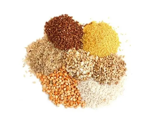 حبيبات مضغوطة